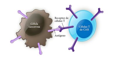México se posiciona a la vanguardia de la medicina de precisión con la implementación de terapias celulares CAR-T, ofreciendo una nueva esperanza a pacientes oncológicos.