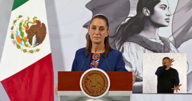 La presidenta mexicana cuestiona la autenticidad de la llamada "marea rosa" y acusa a opositores y grupos ultraderechistas de manipular convocatorias.